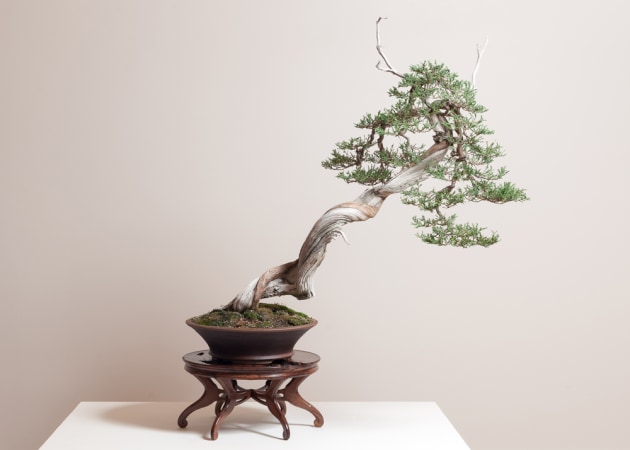 Austin Heitzman: Featured Maker of the Year entrant - Australian Wood Review