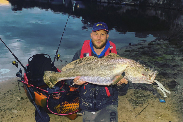 Victorian Mulloway Movement Mysteries Revealed Fishing World