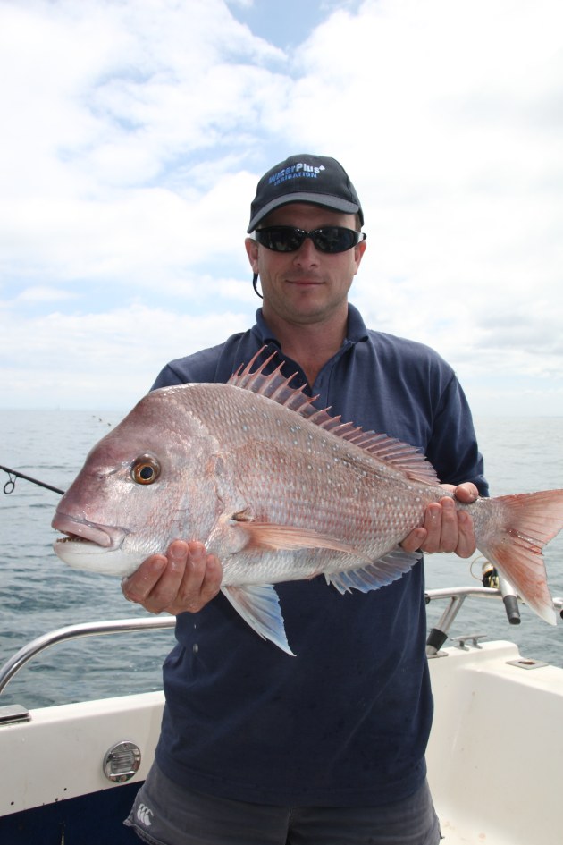 Snapper survey reveals baby boom in Port Phillip - Fishing ...