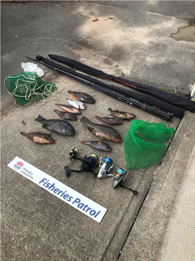 NSW fisheries officers crack down on illegal fishing during lockdown