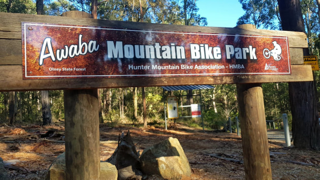 Awaba mountain bike top