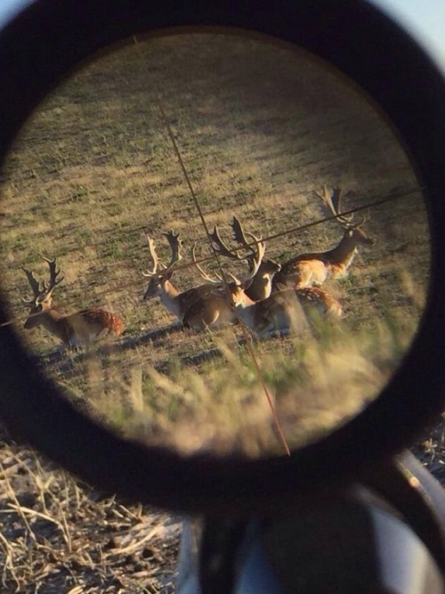 wild game processing near me