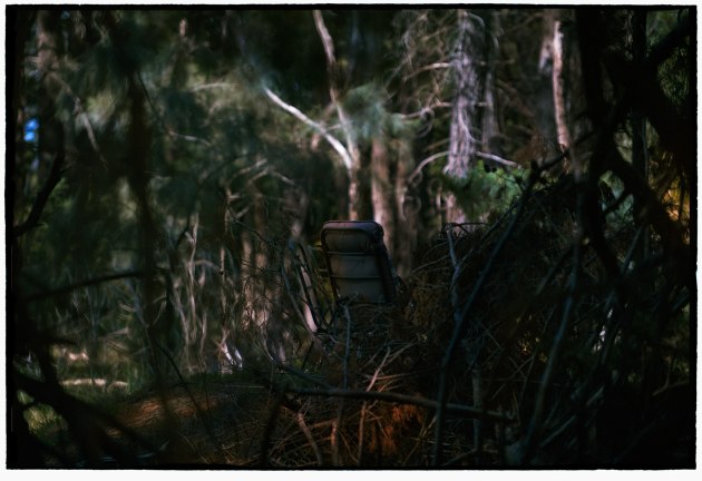 The light fades but the gods remain by Bill Henson - Capture magazine
