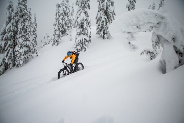Norco bigfoot vlt cheap
