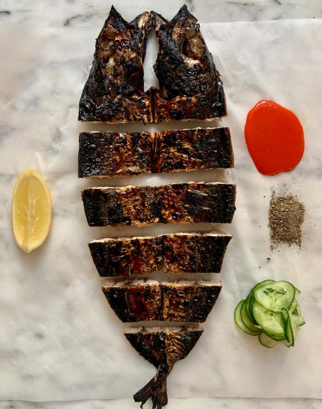 Sustainable Seafood Bring back the mack Fishing World