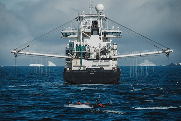 The growing global movement of retailers moving away from krill-derived products is driven in part by Sea Shepherd expeditions to the Southern Ocean.