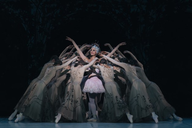 Stuttgart Ballet's Sleeping Beauty, presented by TAB. Images by Kate Longely