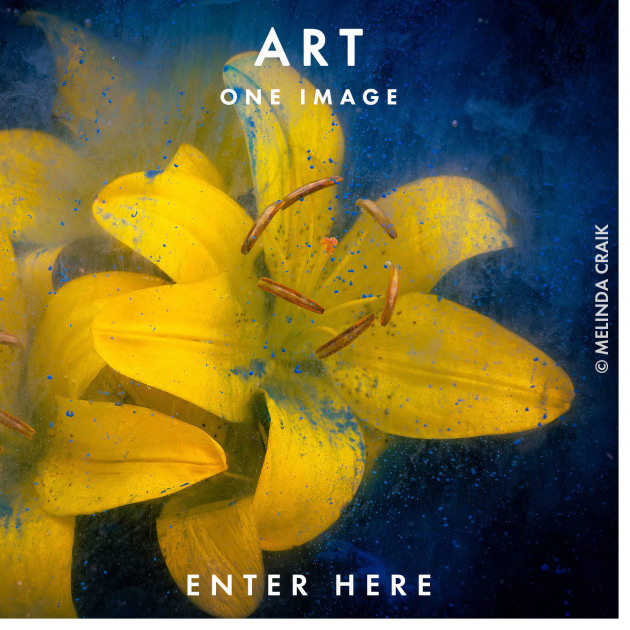 Enter Art