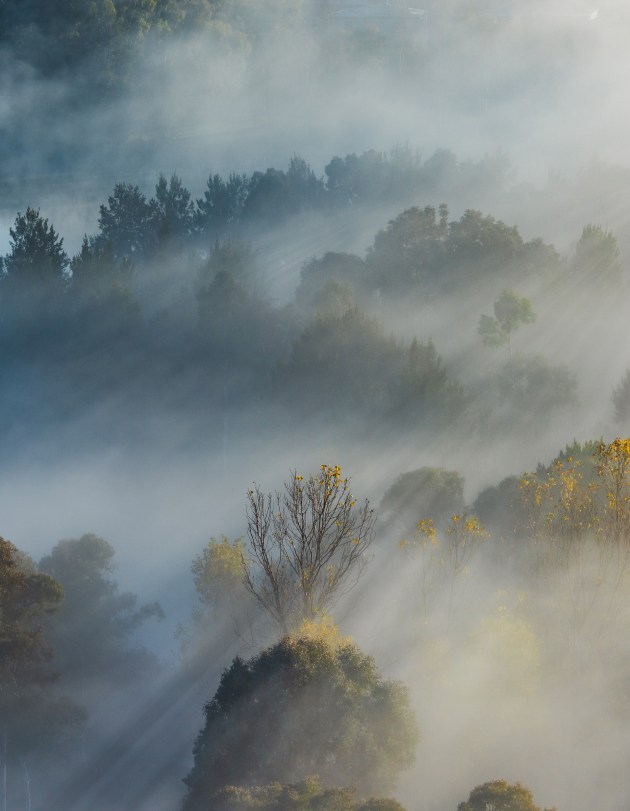Bala Krishnan, The Berra Morning