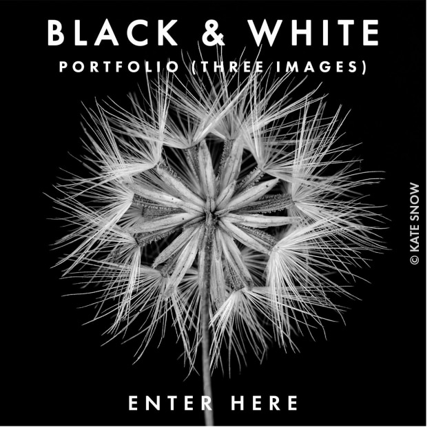 Enter Black & White