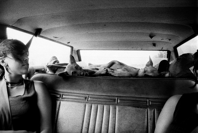 Tamara Dean, Road trip