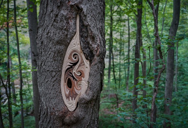 froggy-hollow-3