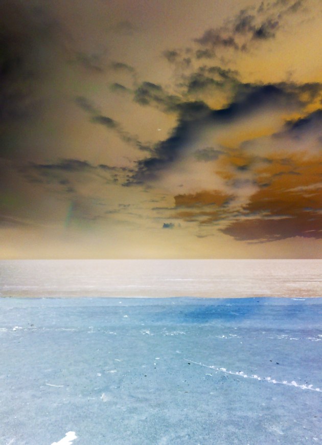 Image: Steve Thomas