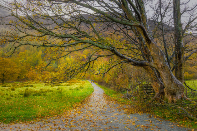 Karen Morley, Country walk