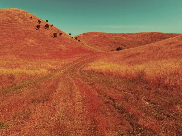 Landscape Winner — Anthony Ginns (Australia) | 2026 iPhone Photography Awards