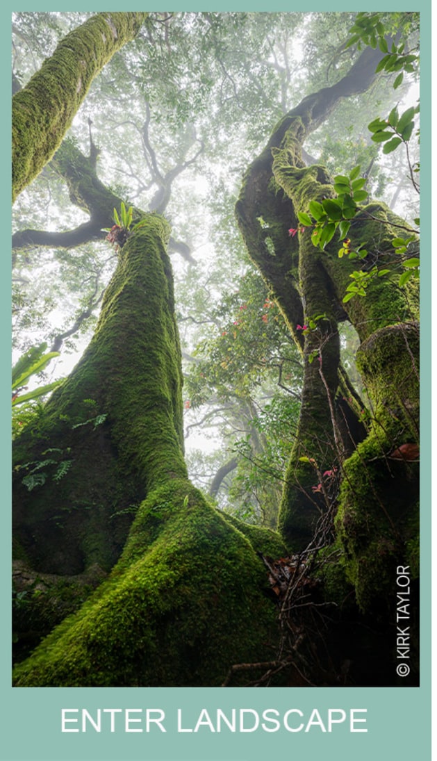Landscape category
