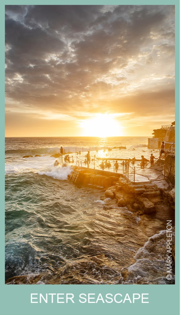 Seascape category