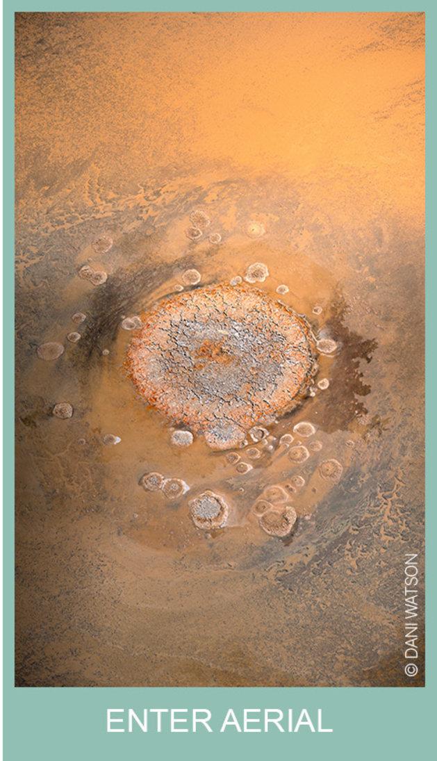 Aerial category