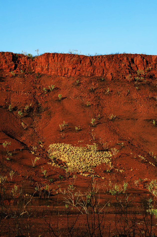 Pat Martin, Karijini