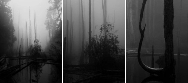 Series Winner — Lasda Takbanuaz (Taiwan) | 2026 iPhone Photography Awards
