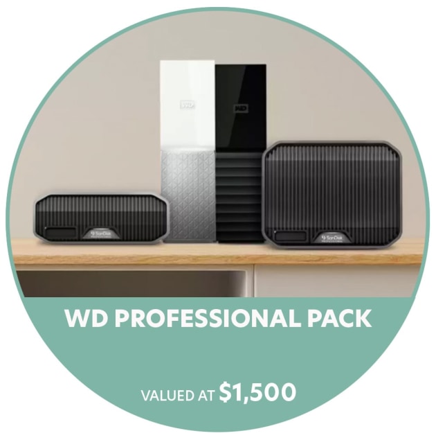 WD Professional Pack