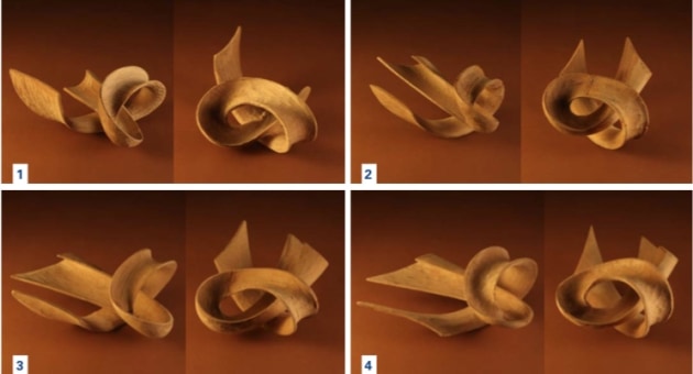 Searching for form - Australian Wood Review