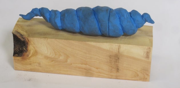 Turned and Carved Shell Box - Australian Wood Review