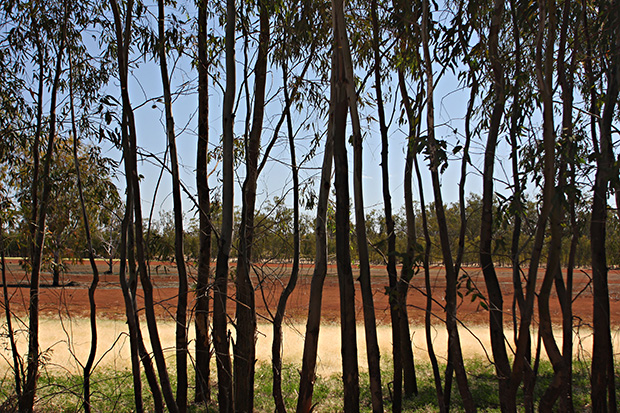 Photo Tip of the Week: Take an Alternative Approach - Australian ...