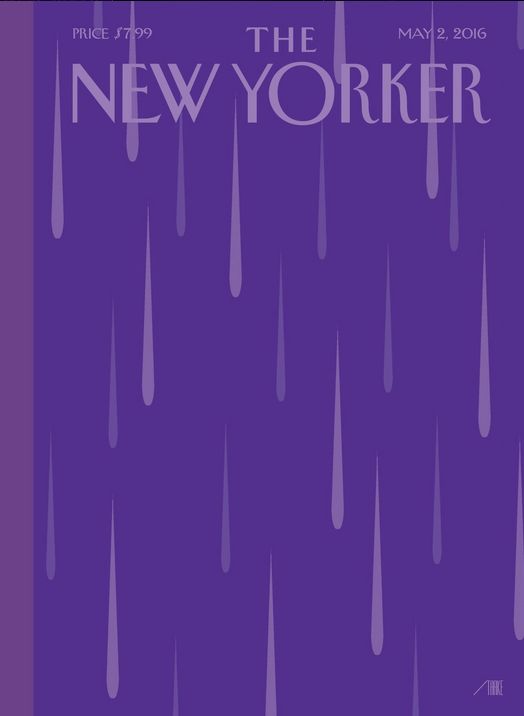 Prince - New Yorker