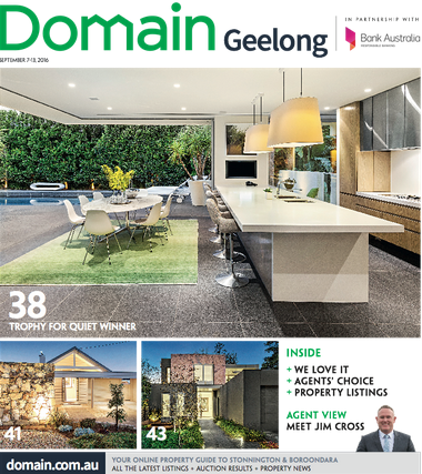 domain magazine