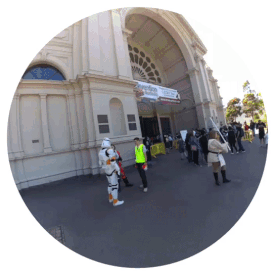 gif1.gif