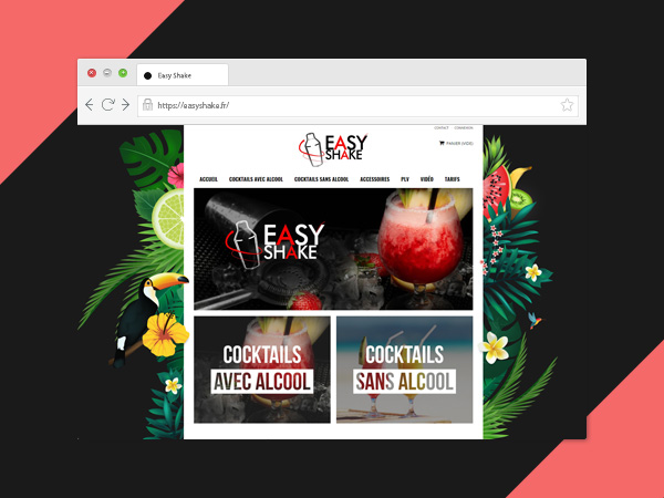 Web Design pour Easy Shake