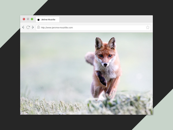 Développement Web pour Jérôme Moutrille