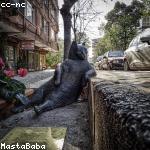 akash