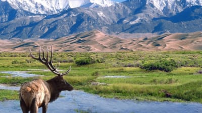 Colorado
