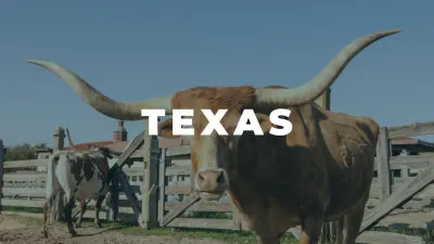 Texas