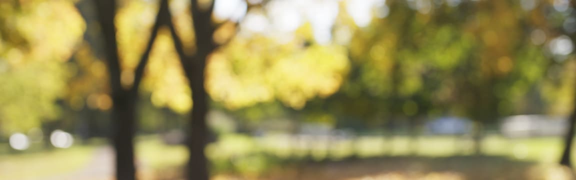 Mallard Ridge Sister Properties