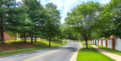 Pet-Friendly Jogging and Walking Trails Leading to Downtown Largo