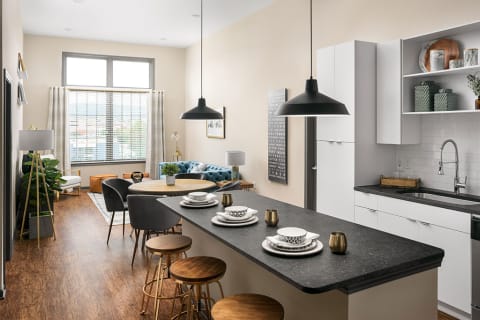 Photos And Video Of Bluebird Row In Chattanooga Tn