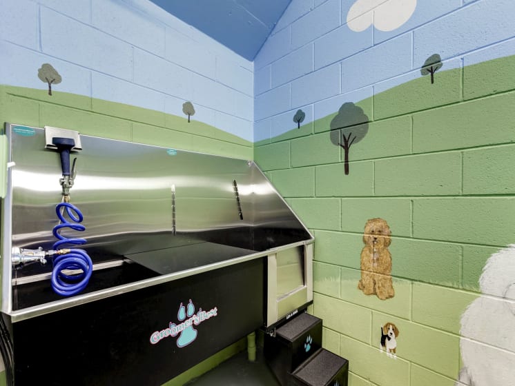 Pet Spa