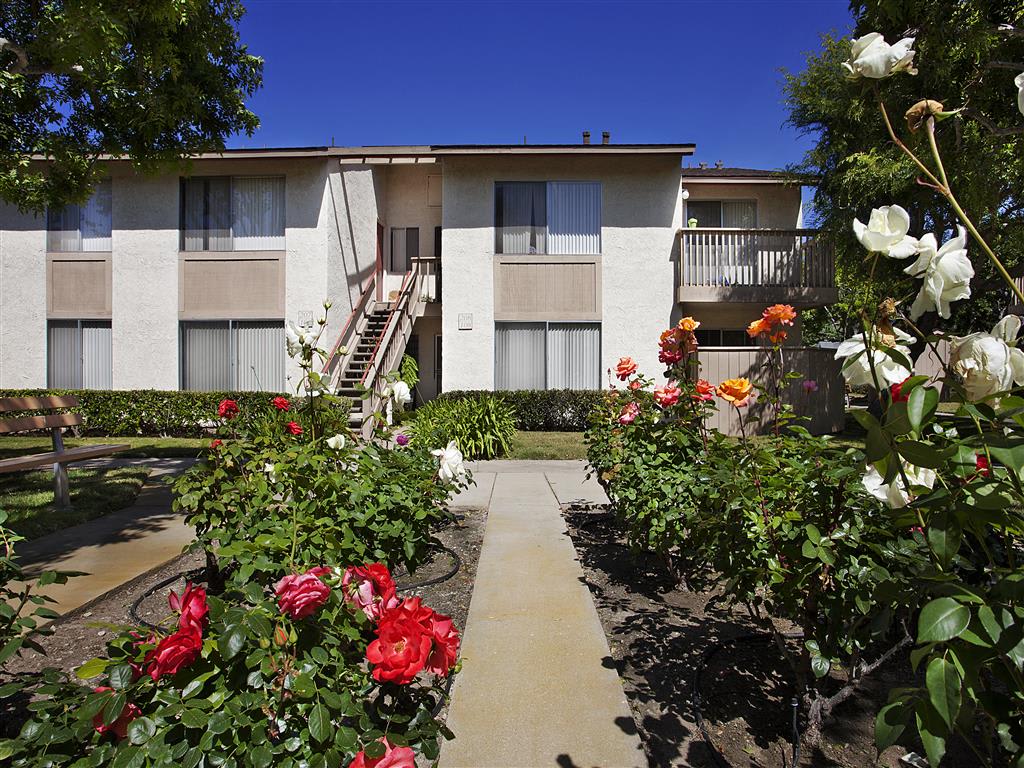 Apartments for Rent in Carpinteria, CA | Shepard Place | Photos