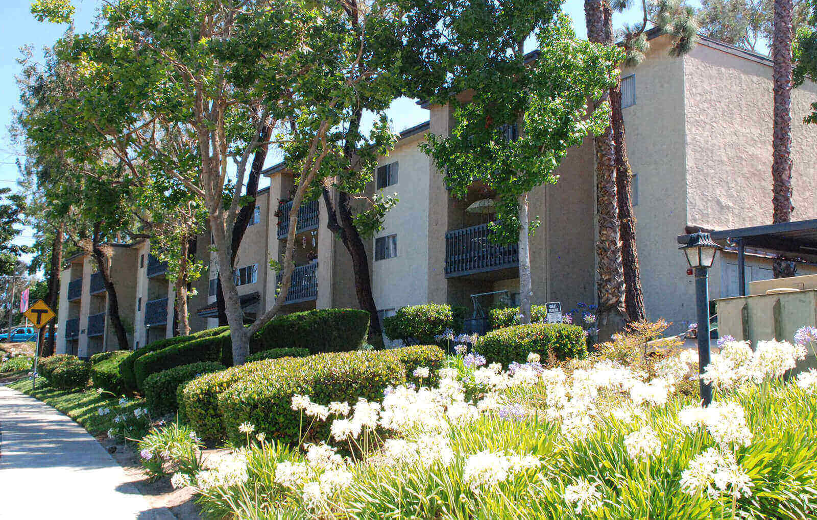 Senior Apartments In Escondido Ca Terrace Gardens Apartment Homes