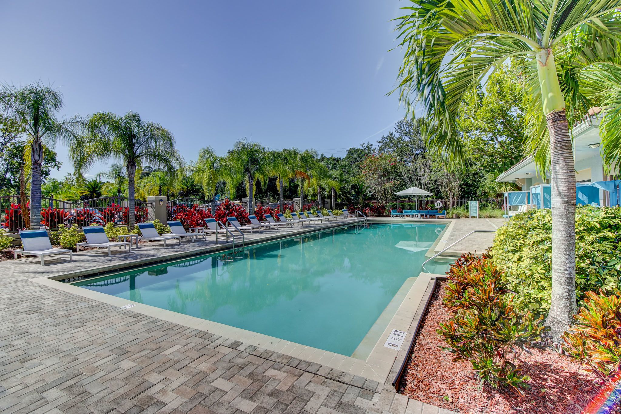 Apartments in Westchase, Tampa, FL Preserve at Westchase Photo Gallery
