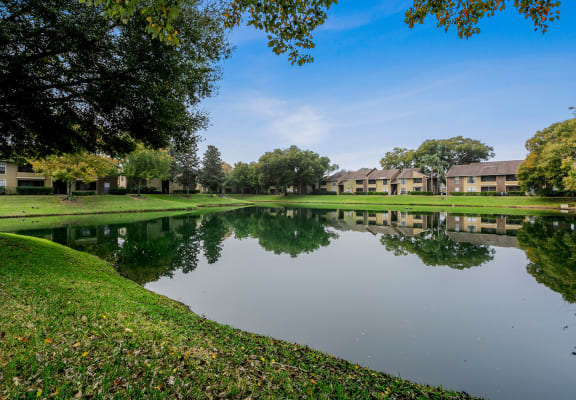 Carrollwood Station Apartments In Tampa Fl