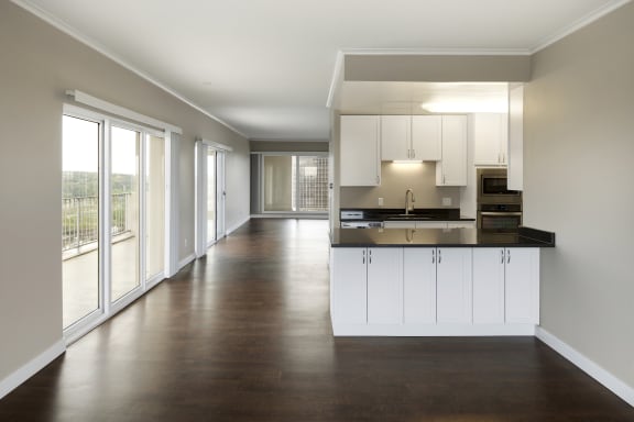 Kellogg Square Apartments in St. Paul, MN 2 Bedroom plus Den, 2 Bathroom Apartment