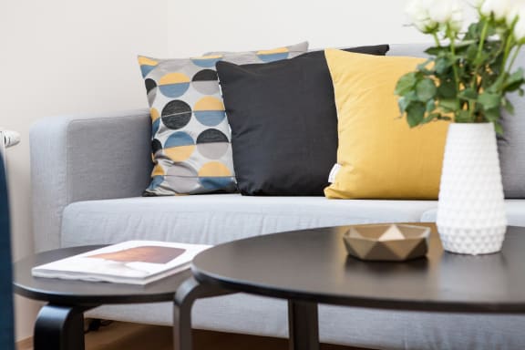Comfy Sofa at The Edition Apartments, Hyattsville, MD