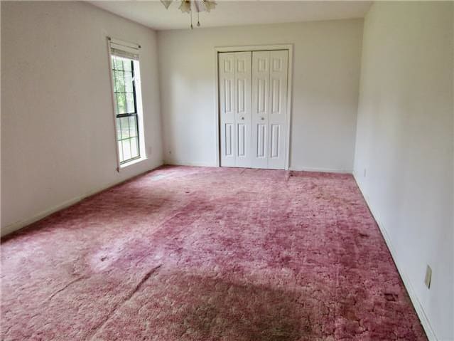 61 Looney Loop photo