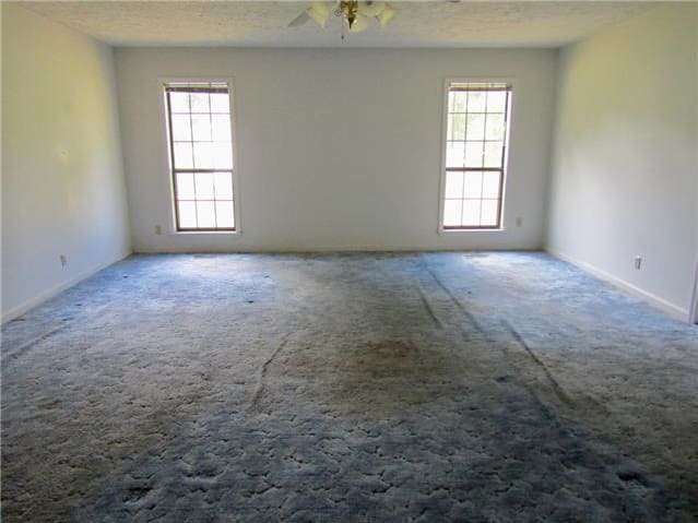 61 Looney Loop photo