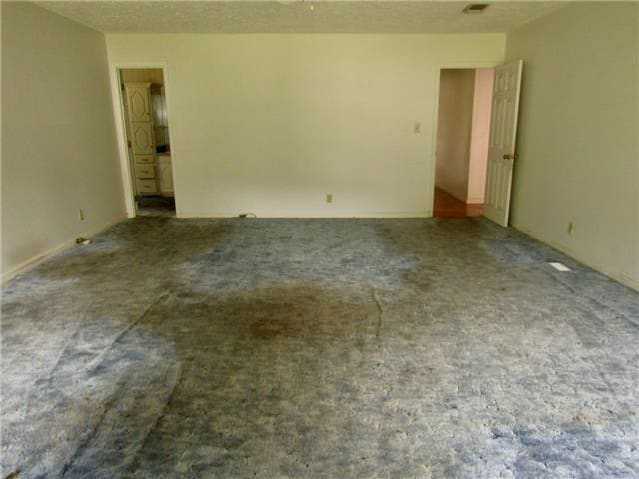 61 Looney Loop photo