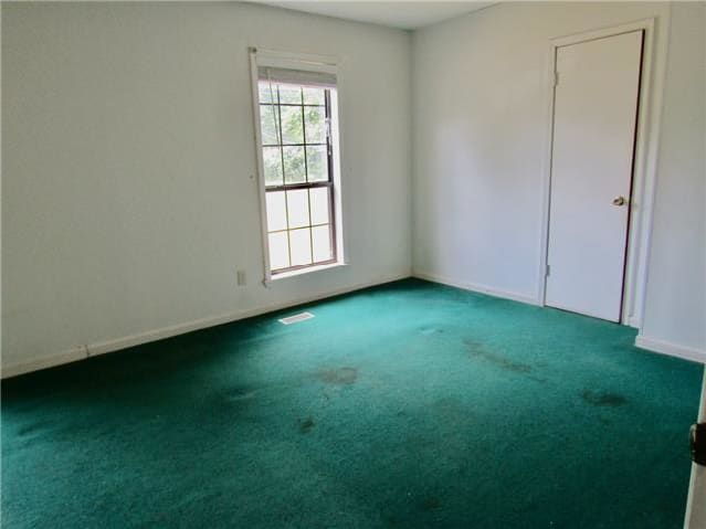 61 Looney Loop photo
